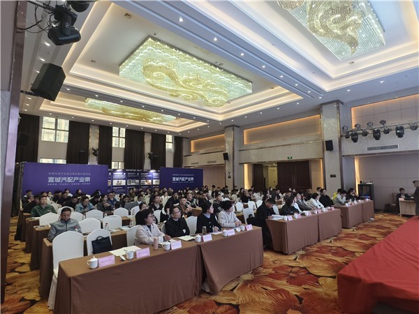 宣城汽配產(chǎn)業(yè)帶揚(yáng)帆出海，跨境電商專場(chǎng)對(duì)接賦能企業(yè)建站新篇